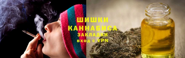 индика Балабаново