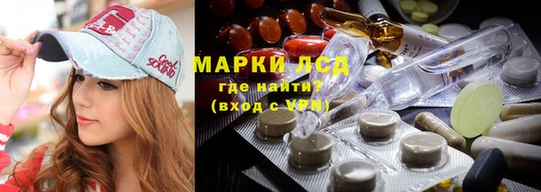 индика Балабаново