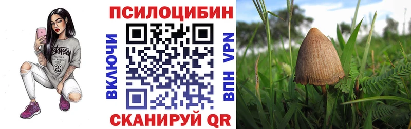 Псилоцибиновые грибы Psilocybine cubensis  Кушва 