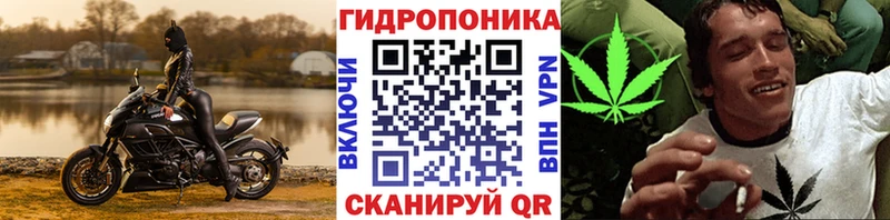 МАРИХУАНА тримм  OMG tor  Кушва  где продают наркотики 